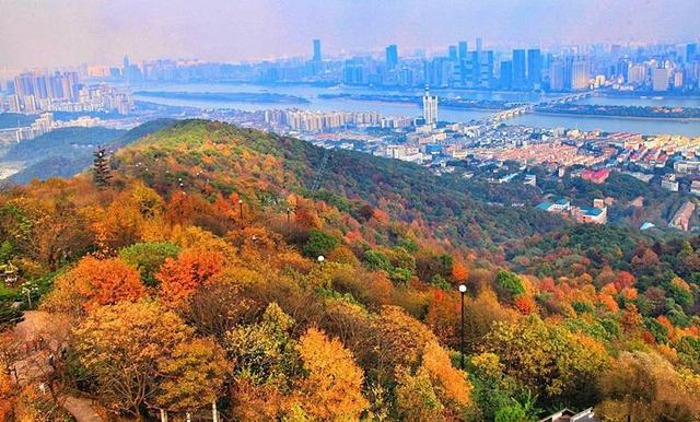 岳麓山风景区位于 湖南 省 长沙 市岳麓区,海拔300.8米,占地面积35.