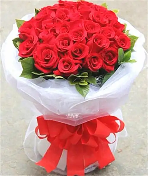 全国鲜花速递 因为爱情 【花行天下】 价格 报价 图片 - 亚马逊中国