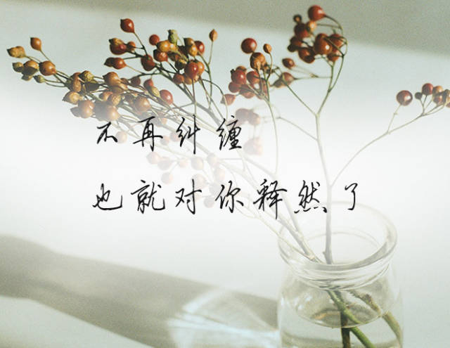 不再纠缠,也就对你释然了