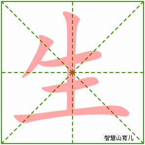 生的笔顺拼音及解释