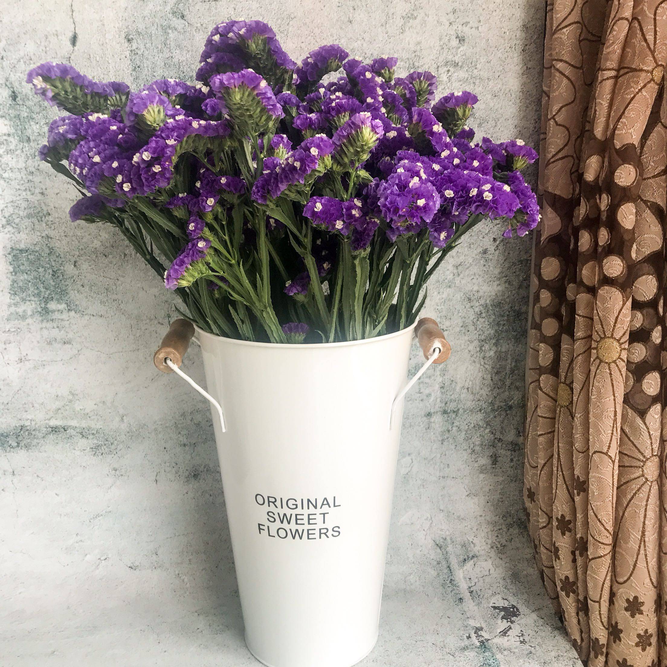 干花云南勿忘我花花束带花瓶套装天然家居摆设干花