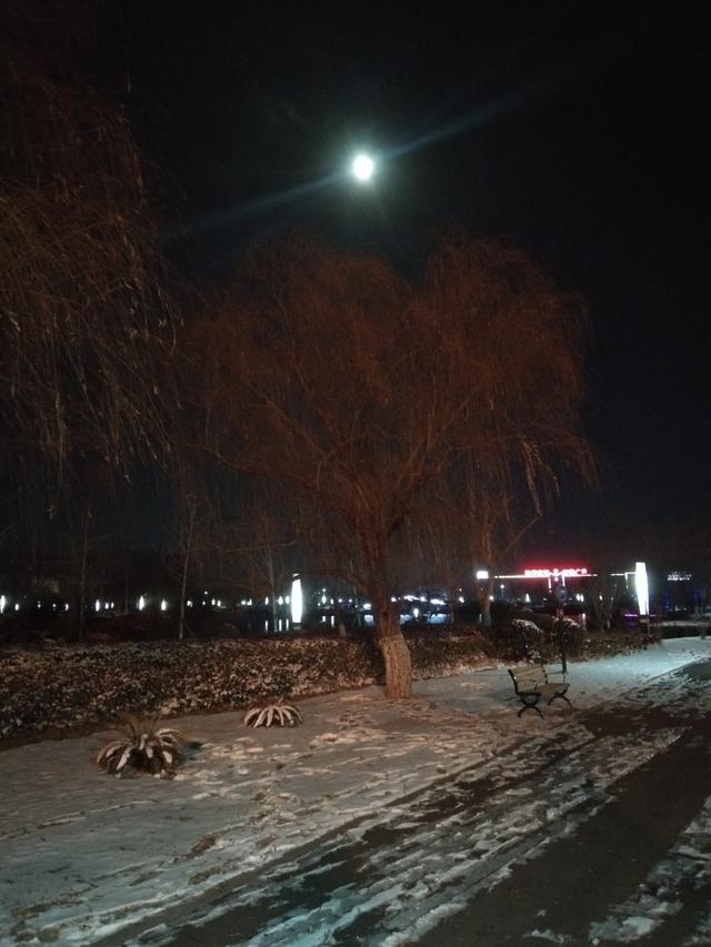 五律《月下雪夜思》