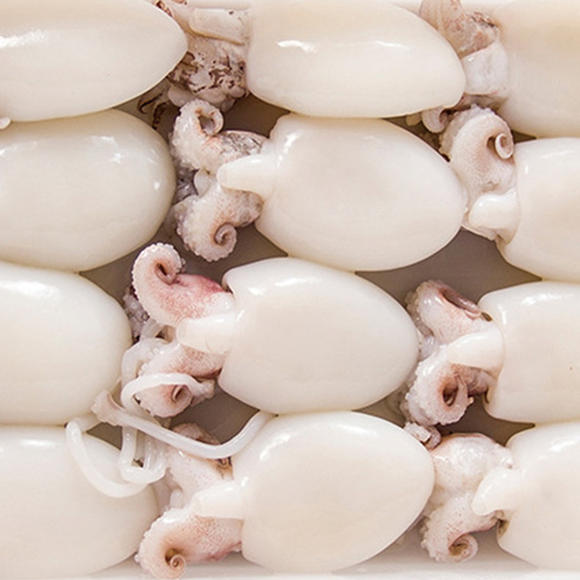 【阿根廷直供】野生纯干墨鱼仔