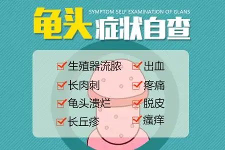 环状溃烂性包皮龟头炎:在龟头和包皮上,可见红斑,逐渐扩大,呈环状,可