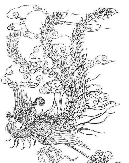 好难得才配的这么多白描凤凰图!喜欢的建议收藏 !