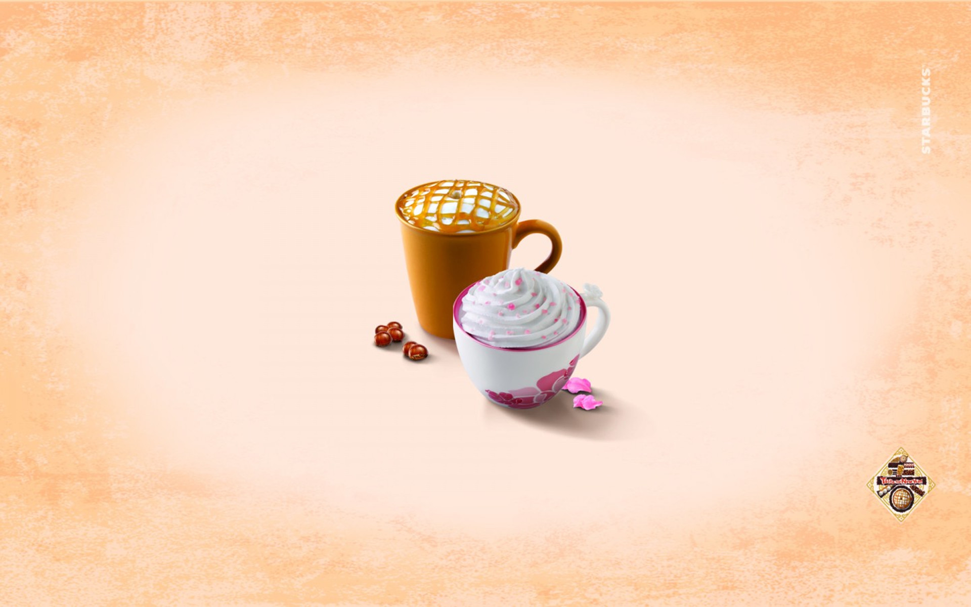 星巴克标志非主流唯美静物图片桌面壁纸高清下载第二辑