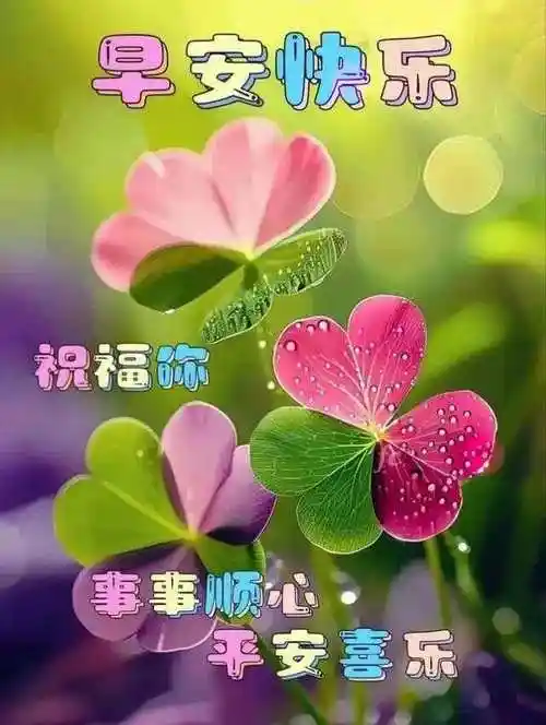2024年5月12日今日最新早安祝福图片,早上好关心朋友的问候语