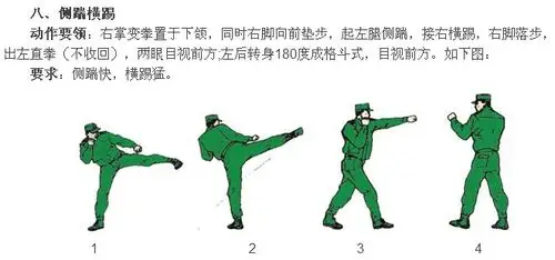 【动图示教】擒敌拳动作及动作要领