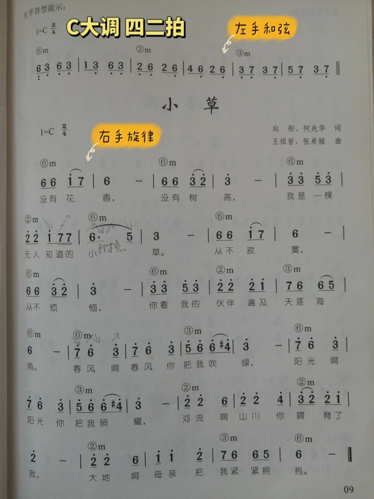 幼儿歌曲简谱《小草》