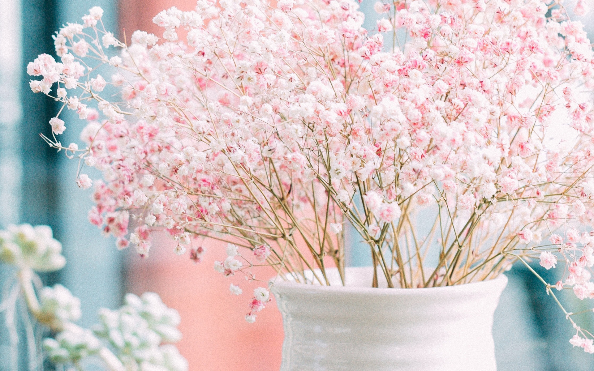 小清新唯美静物高清图片桌面壁纸_风格壁纸_壁纸下载_美桌网