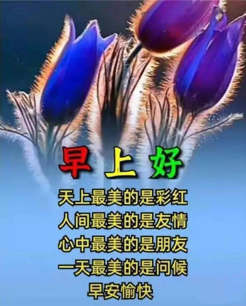 2021夏日清晨友谊早安问候语图片_阳光