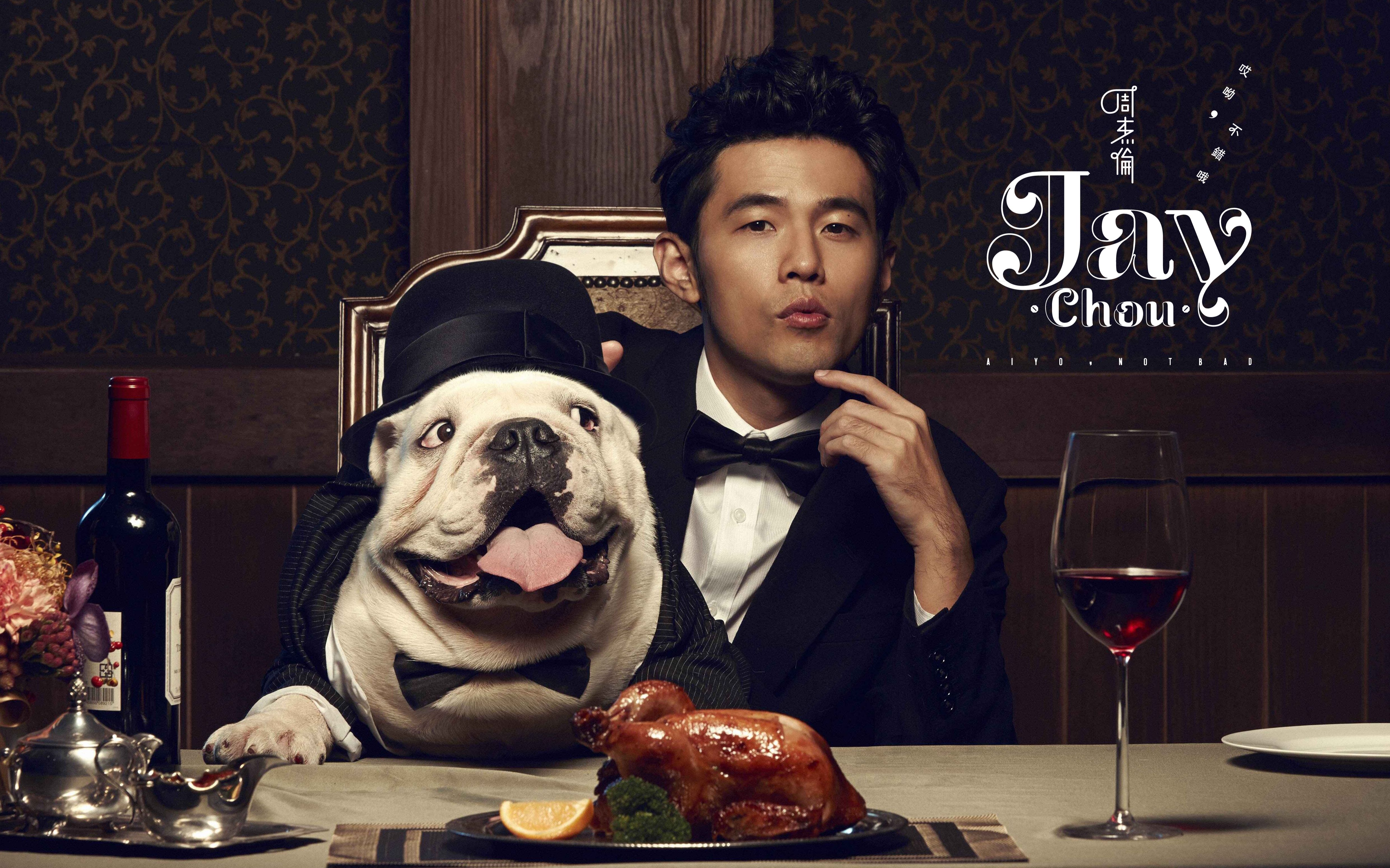 【1080p】周杰伦《哎呦,不错哦》专辑"最强画质"mv大整合,让你一次听