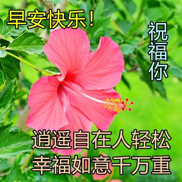 周三最新早上好图片大全问候语 唯美早安发朋友圈的心情说说语句