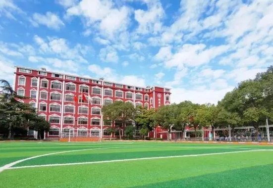 择校指南!上海燎原双语学校2024春季小初插班申请