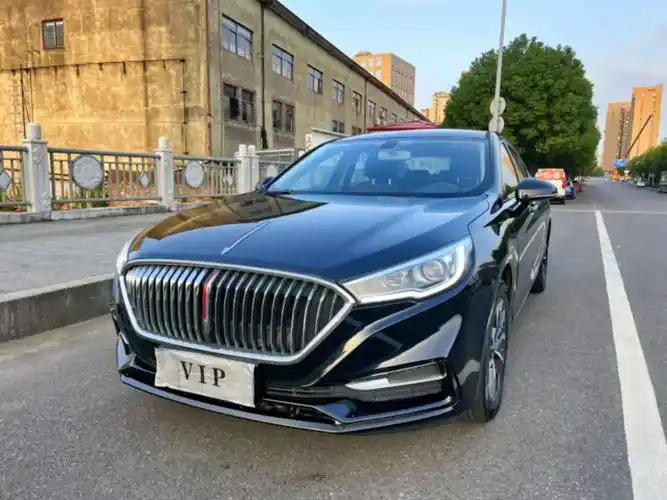 红旗h5新款1.5t电子档 价格不高 上牌日期:2020年1 - 抖音