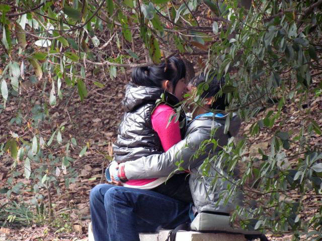 冬钓新鲜事:野鲫频频上钩,打扰小树林里的情侣