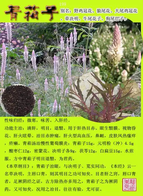 转载中草药300种图谱