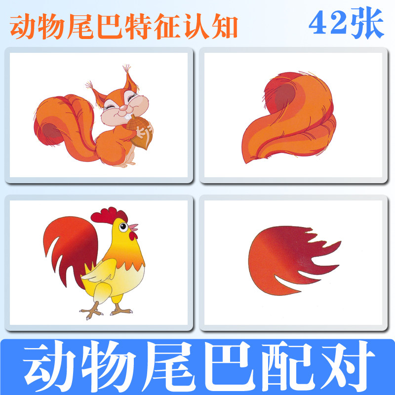 动物特征认知尾巴配对训练卡片彩图塑封防水撕不烂自闭症宝宝教具