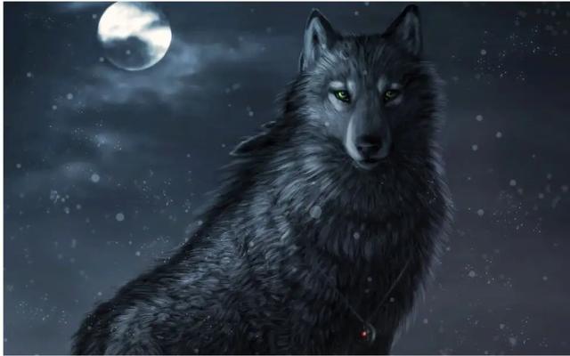 蒙古獒——狼王目露凶光(小说连载25)