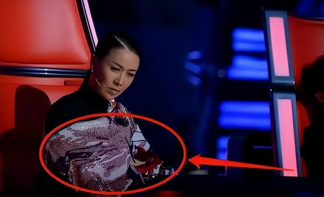 原创乐坛一姐那英挑衅刀郎淘汰周深内涵章子怡花瓶却凭耿直圈粉