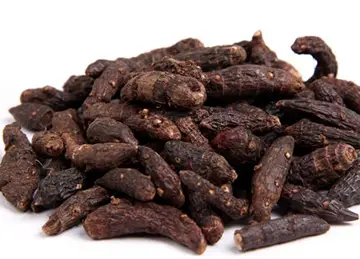 香附的作用与疗效_米醋_子宫_棕色