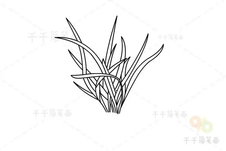 韭菜简笔画图解
