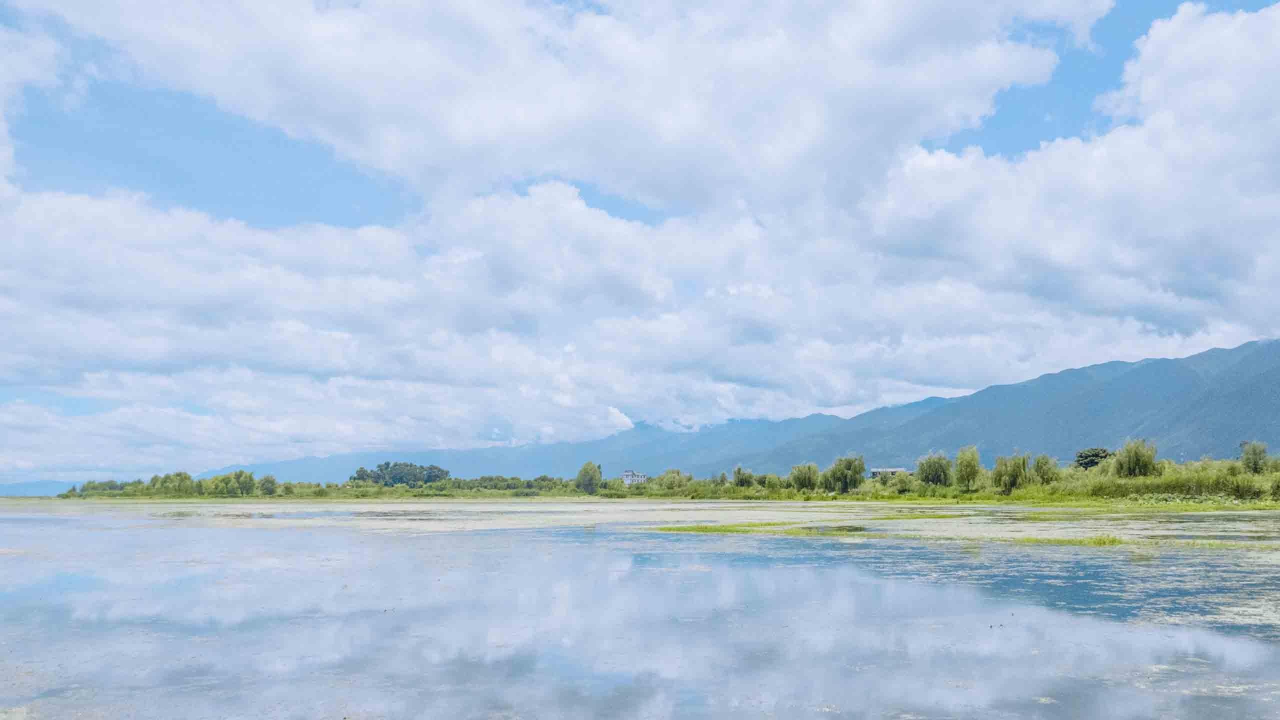 抖音最火2020背景图,高清图片,电脑桌面-壁纸族