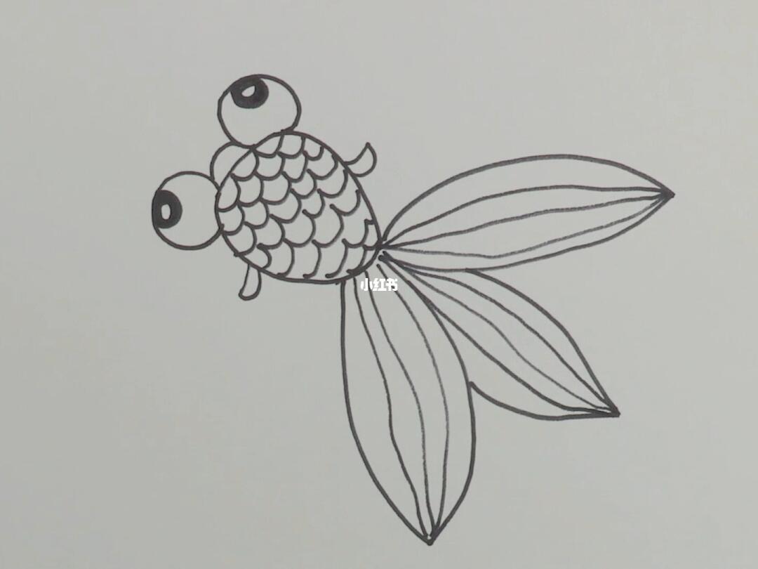简笔画画金鱼