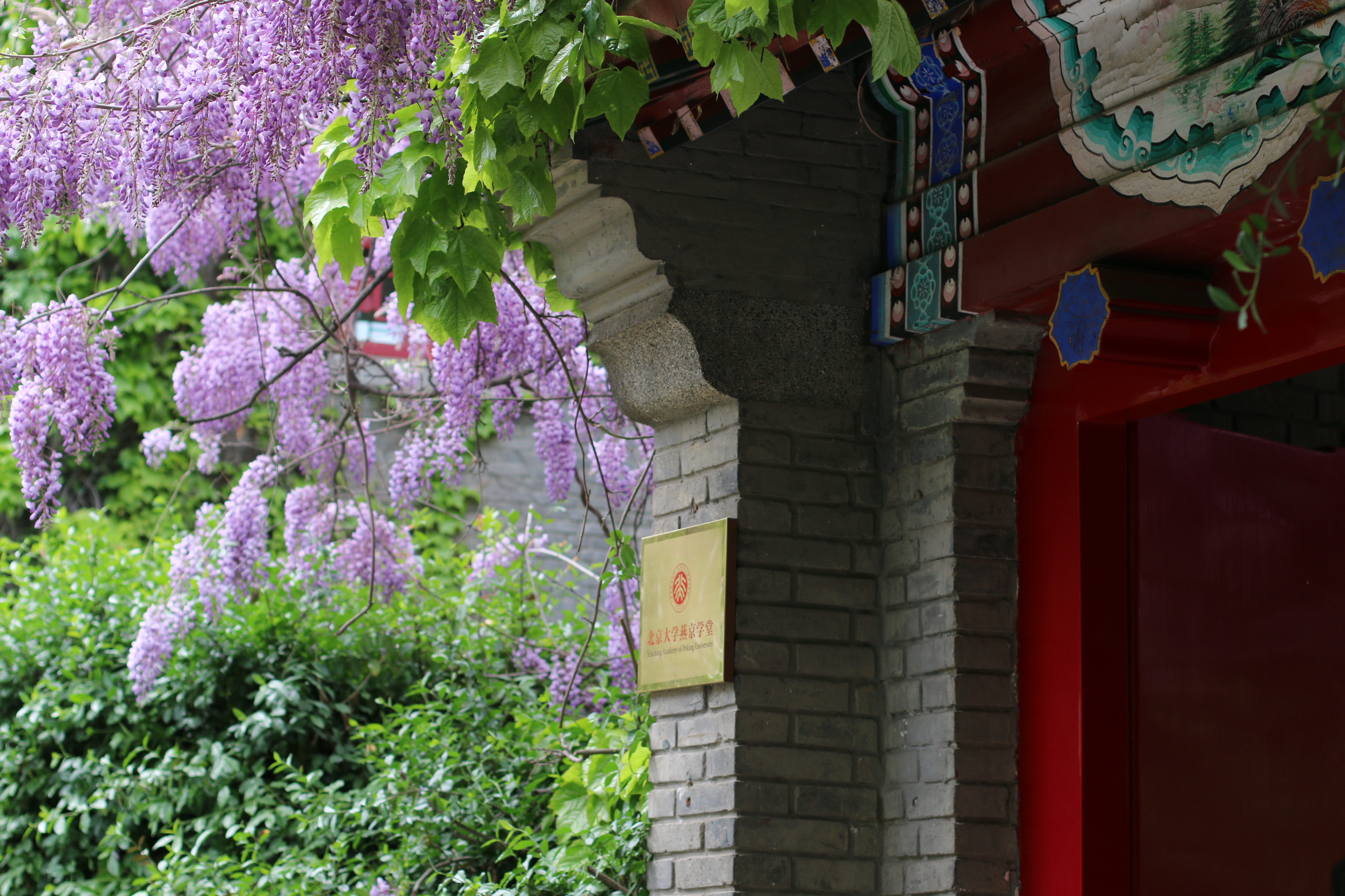 燕京学堂,七岁生日快乐!-北京大学燕京学堂