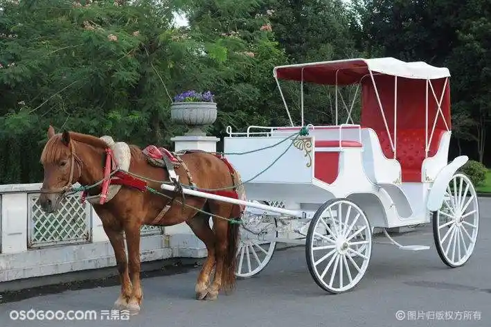 欧式马车,马车,四轮马车属于旅游用品,是西方国家贵族所使用的一种