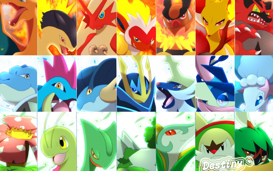 精灵宝可梦wcs18御三家队没有喷火龙我要死了