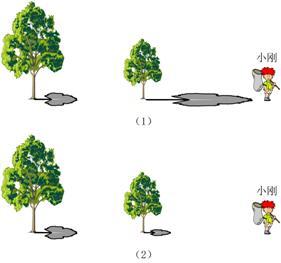 树的影子简笔画儿童