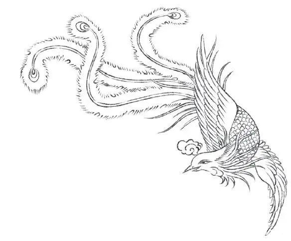 凤凰简笔画大全 简笔画怎么画