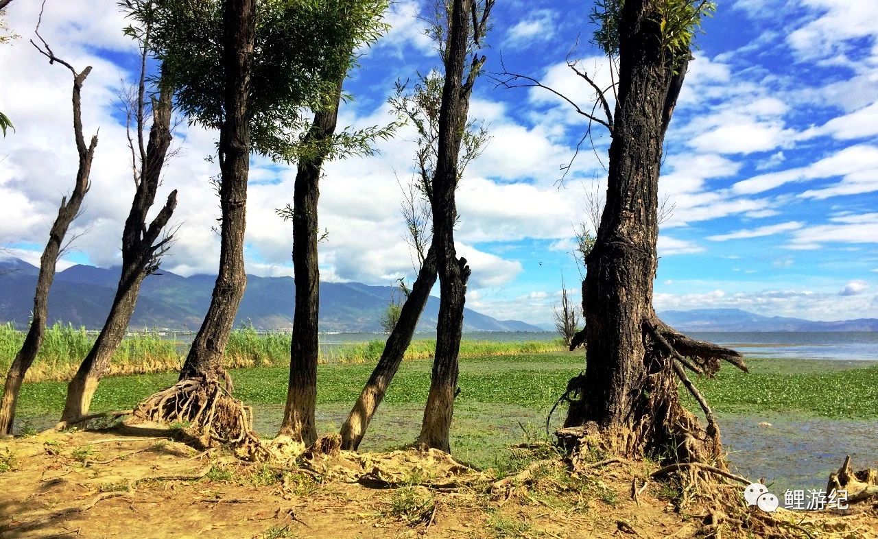 西南这条网红的环海公路风景随手拍都是壁纸