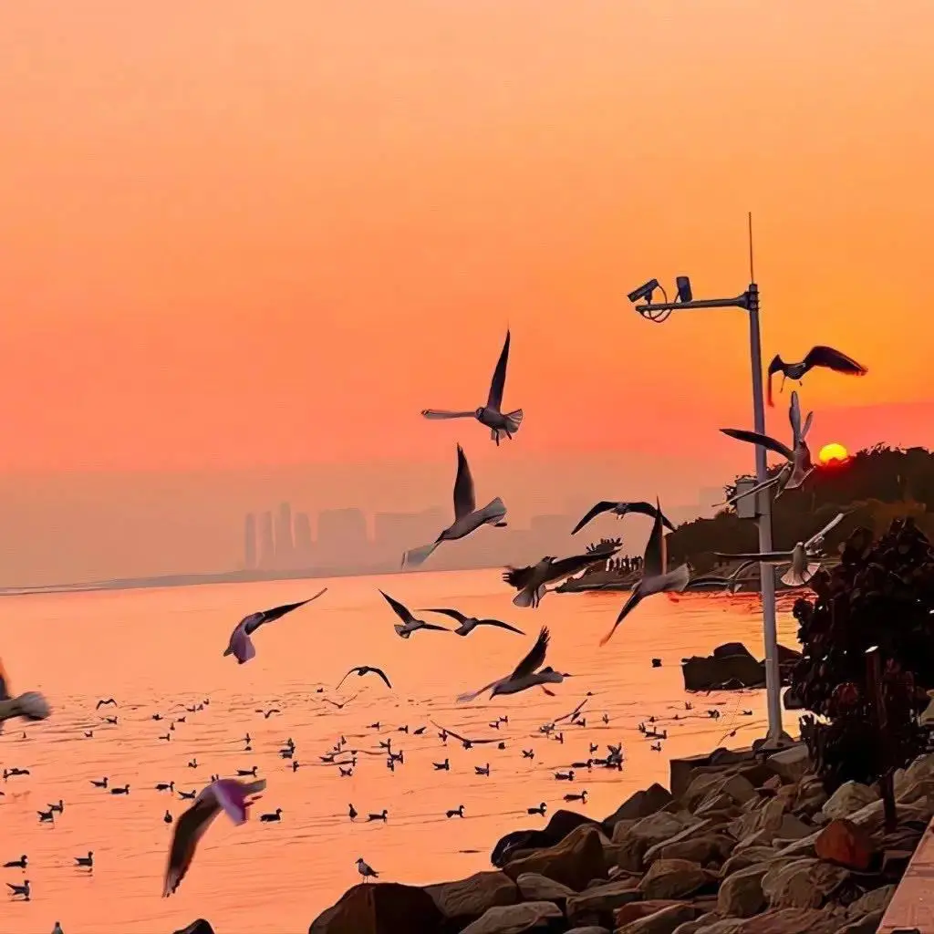 背景图 | 好看微信朋友圈背景图