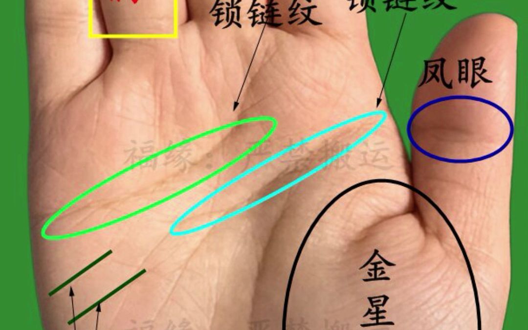 反抗线代表什么?