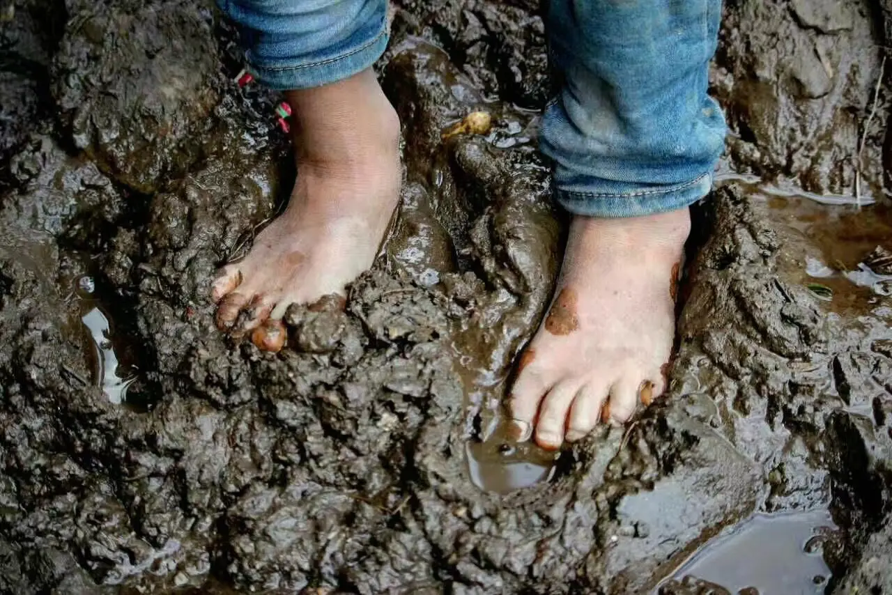 除了诗和远方还有无处安放的泥泞