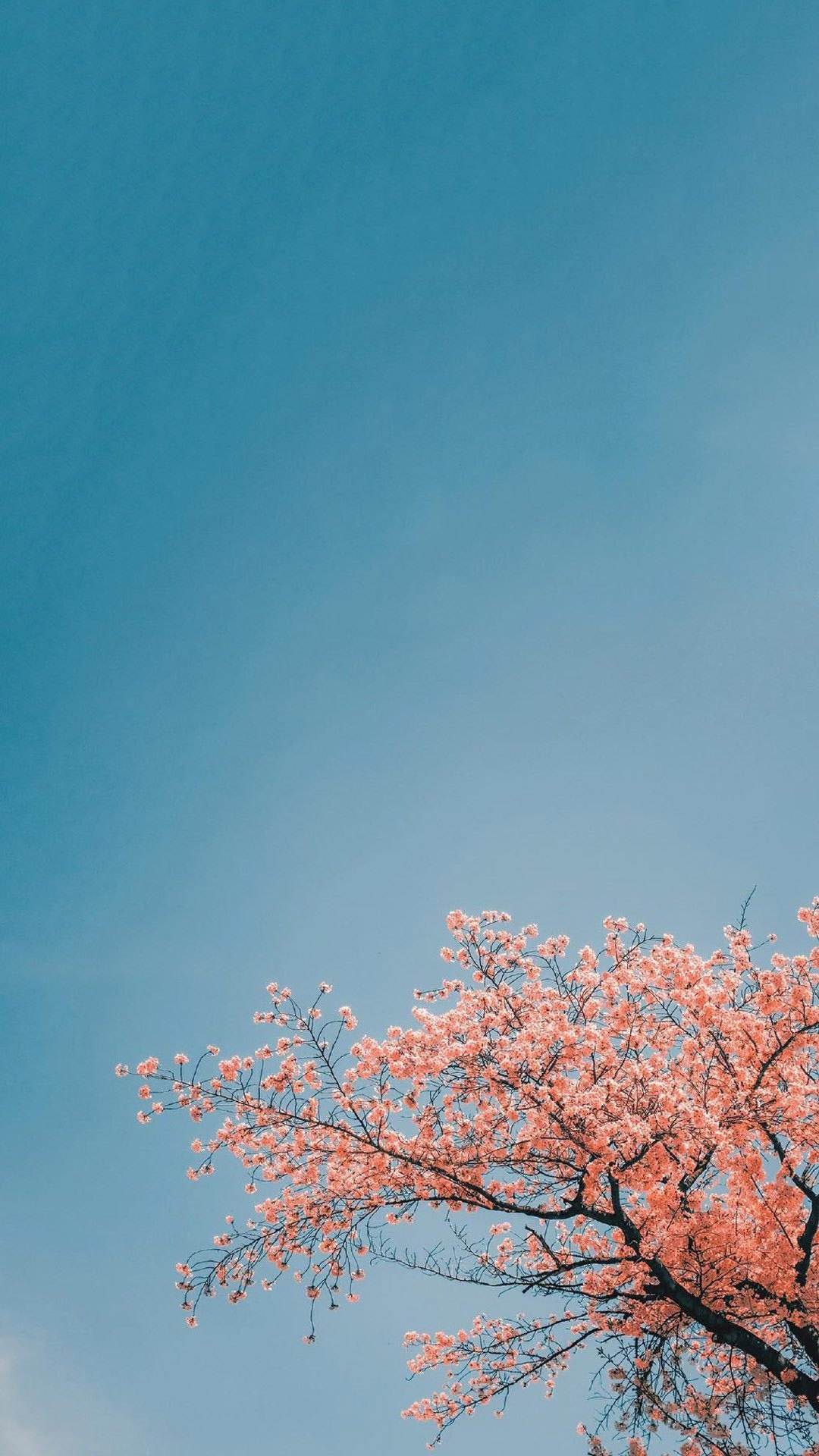 文艺小清新唯美风景