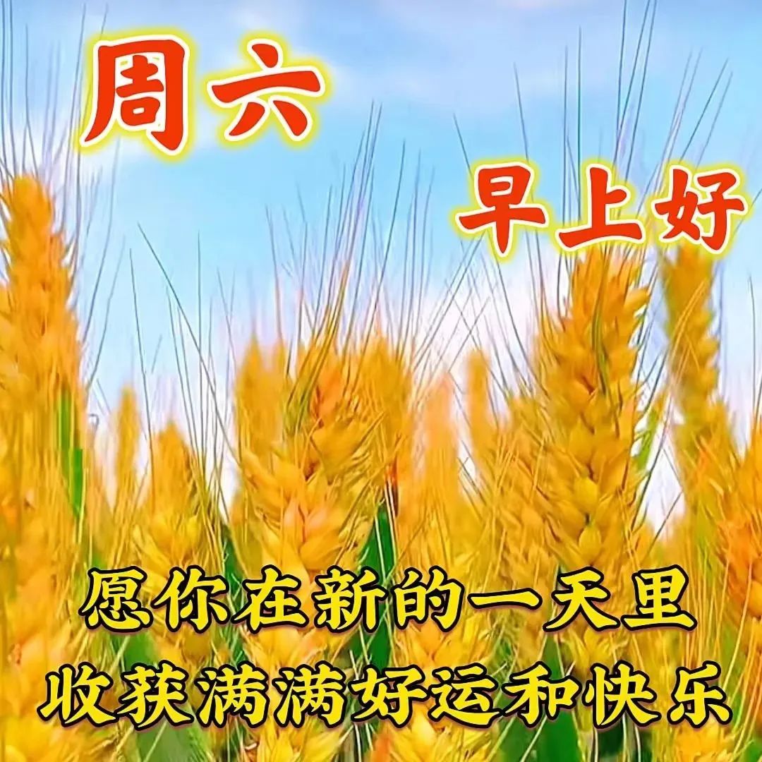 2023年5月27日周六早上好问候祝福动态表情图片 周六最新早安问候祝福