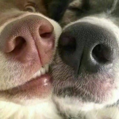 100组沙雕可爱情侣头像高清100组史上最沙雕情侣头像图片