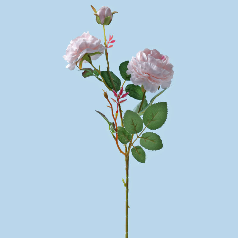 奶粉 简单尝试(3个花朵)一只