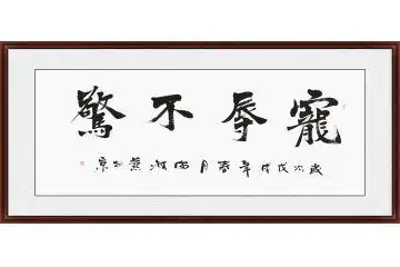何海燕四字成语书法《宠辱不惊》