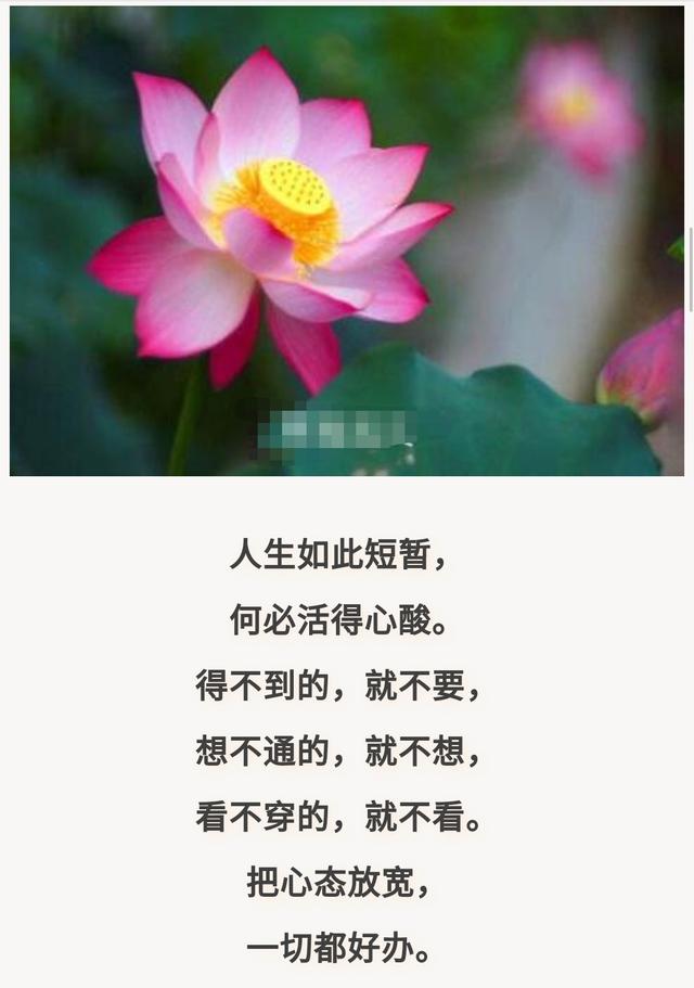 人生路上,得不喜,失不气,一切看淡,一切随缘