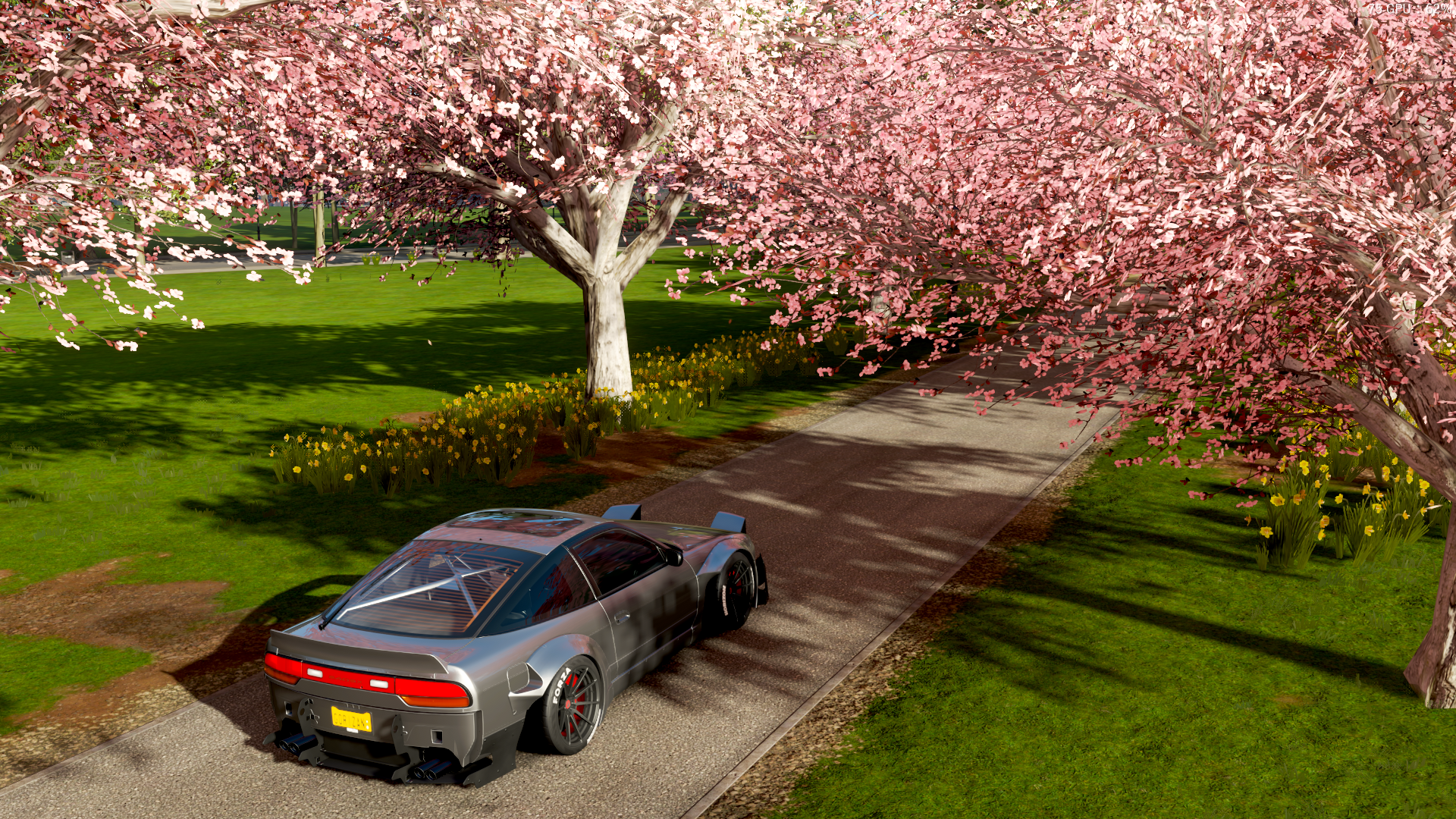 (樱花 花海 篇)极限竞速 地平线4个人摄影作品分享