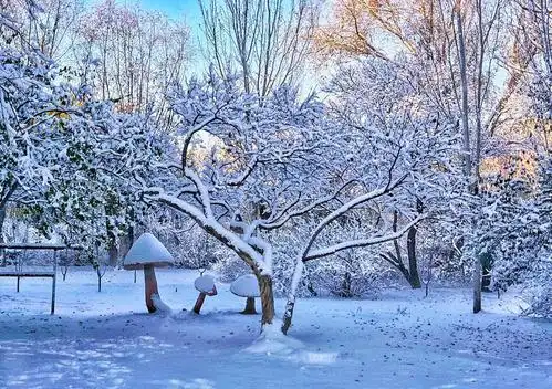 这就是下雪的时候,那轻柔的雪花似白色蝴蝶飞舞,似白色棉恕从天而降