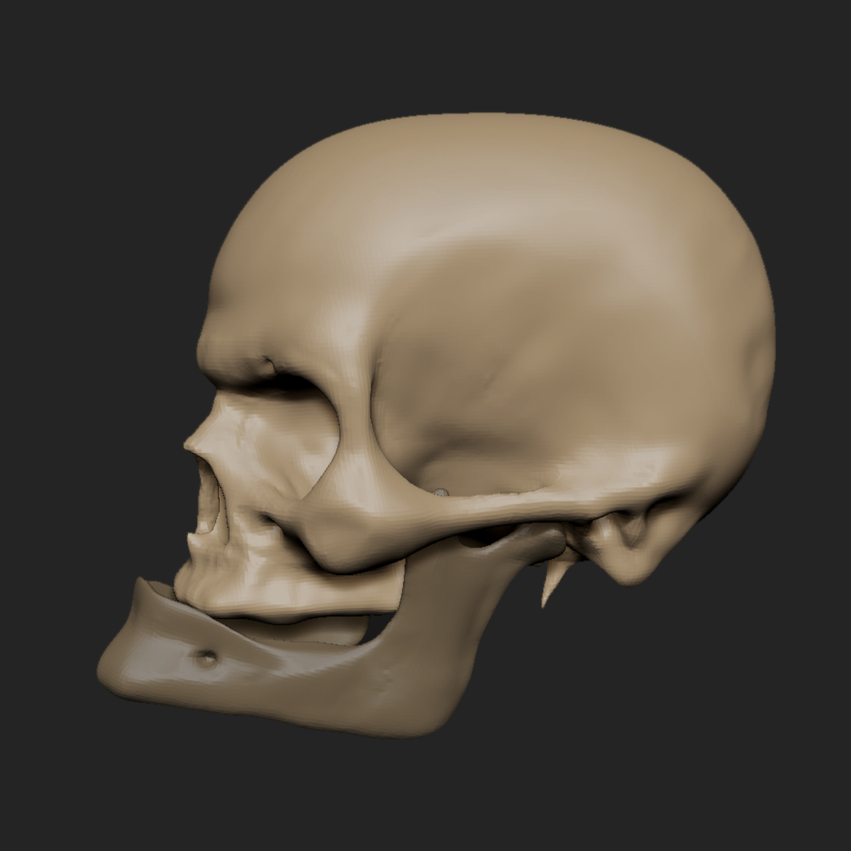 老人头骨(zbrush)3d模型