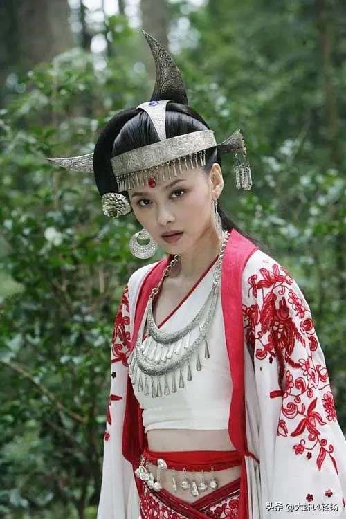 碧血剑》中有不少成名人物在《鹿鼎记》中都有出场,比如第二女主阿九