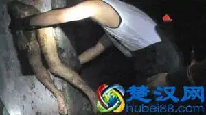 化粪池现男童尸体8岁被遗弃化粪池是怎么回事