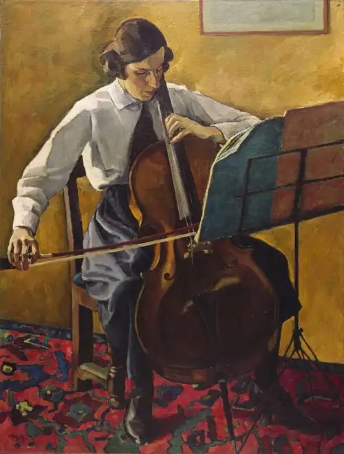 大提琴演奏家thecellist