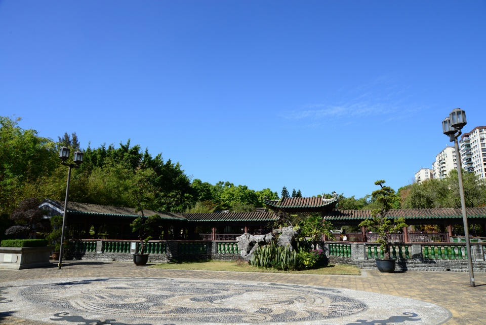 低年级学校旅行(荔枝角公园)